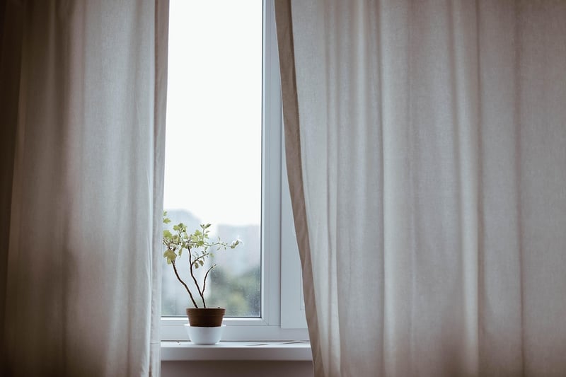Window Sill Gardens